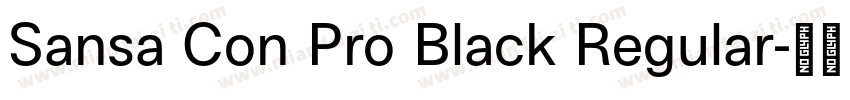 Sansa Con Pro Black Regular字体转换